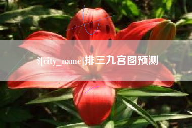 贵阳排三九宫图预测