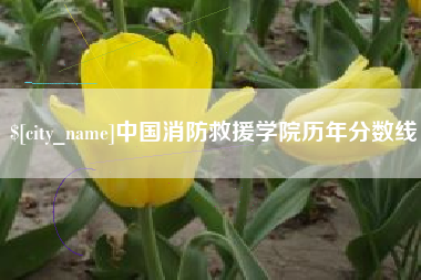 贵阳中国消防救援学院历年分数线