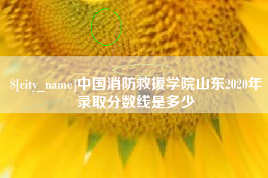 贵阳中国消防救援学院山东2020年录取分数线是多少