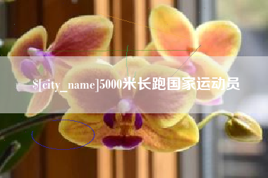 贵阳5000米长跑国家运动员