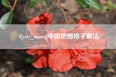 贵阳中国地图格子画法