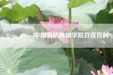 贵阳中国消防救援学院百度百科