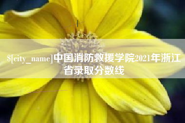 贵阳中国消防救援学院2021年浙江省录取分数线