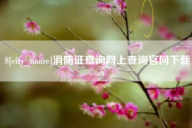贵阳消防证查询网上查询官网下载