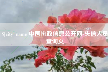 贵阳中国执政信息公开网-失信人员查询页