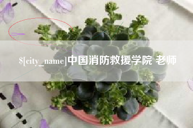 贵阳中国消防救援学院 老师