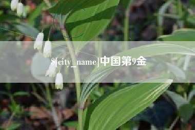 贵阳中国第9金