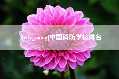 贵阳中国消防学校排名
