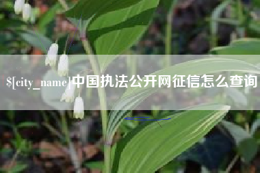 贵阳中国执法公开网征信怎么查询
