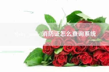 贵阳消防证怎么查询系统