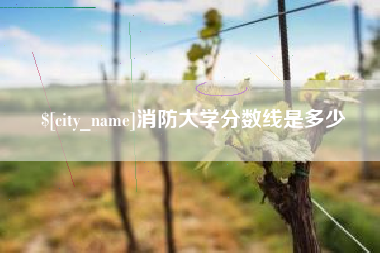 贵阳消防大学分数线是多少