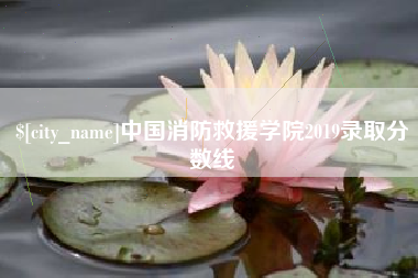 贵阳中国消防救援学院2019录取分数线