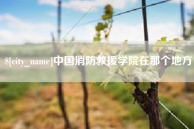 贵阳中国消防救援学院在那个地方