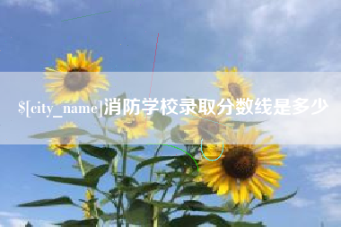 贵阳消防学校录取分数线是多少