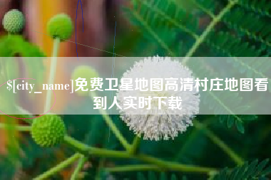 贵阳免费卫星地图高清村庄地图看到人实时下载