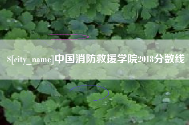 贵阳中国消防救援学院2018分数线