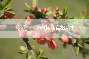 贵阳2021年九宫格风水