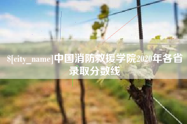 贵阳中国消防救援学院2020年各省录取分数线