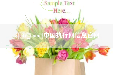 贵阳中国执行网信息官网