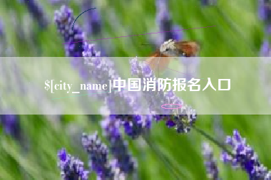 贵阳中国消防报名入口