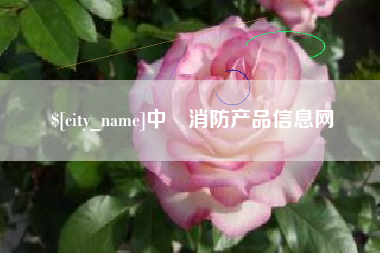 贵阳中囯消防产品信息网