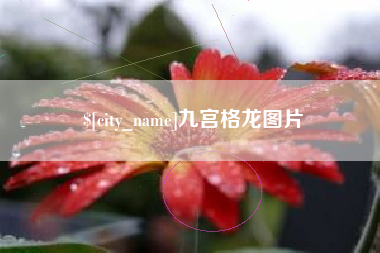 贵阳九宫格龙图片