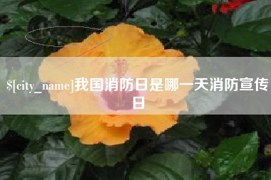贵阳我国消防日是哪一天消防宣传日
