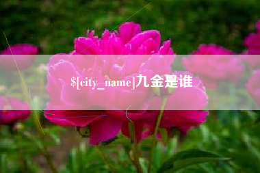 贵阳九金是谁