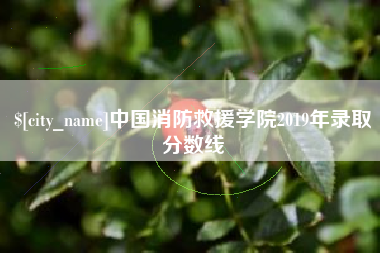 贵阳中国消防救援学院2019年录取分数线