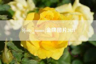 贵阳金牌图片2021