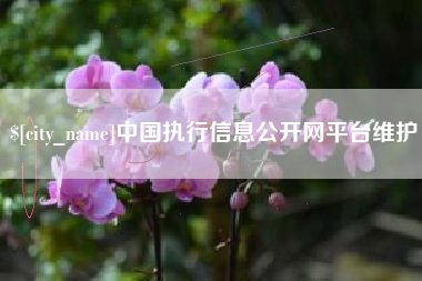 贵阳中国执行信息公开网平台维护