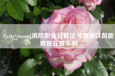 贵阳消防职业技能证书查询以前能查现在查不到
