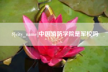 贵阳中国消防学院是军校吗