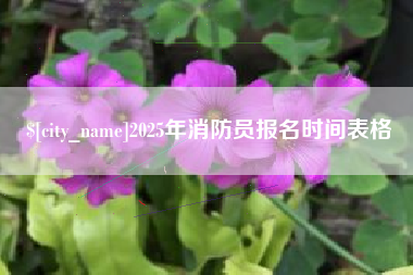 贵阳2025年消防员报名时间表格