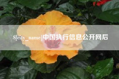 贵阳中国执行信息公开网后