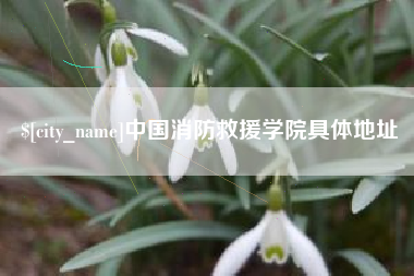 贵阳中国消防救援学院具体地址