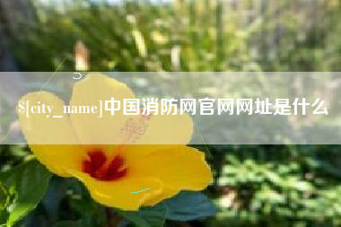 贵阳中国消防网官网网址是什么