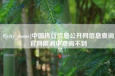 贵阳中国执行信息公开网信息查询官网限消中查询不到