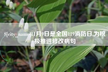 贵阳11月9日是全国119消防日,为积极推进修改病句