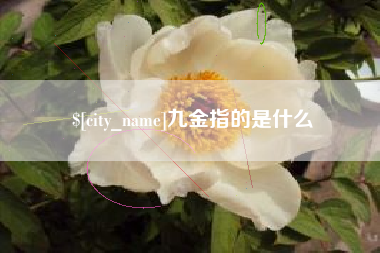 贵阳九金指的是什么