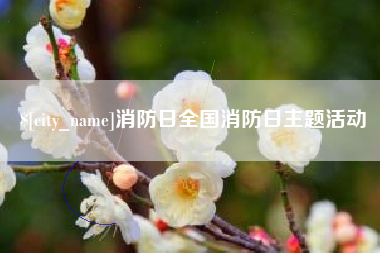贵阳消防日全国消防日主题活动