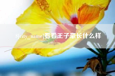 贵阳看看王子豪长什么样