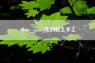 贵阳龙的粘土手工