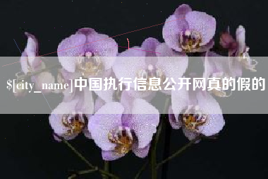贵阳中国执行信息公开网真的假的
