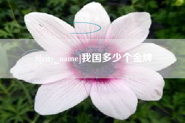 贵阳我国多少个金牌