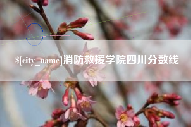 贵阳消防救援学院四川分数线