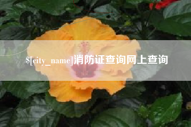 贵阳消防证查询网上查询