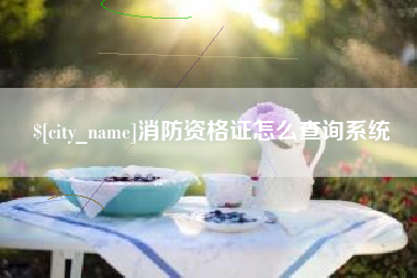 贵阳消防资格证怎么查询系统