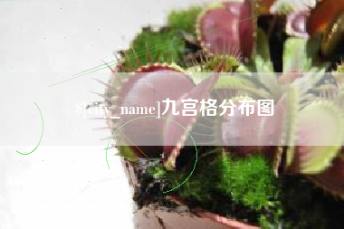 贵阳九宫格分布图