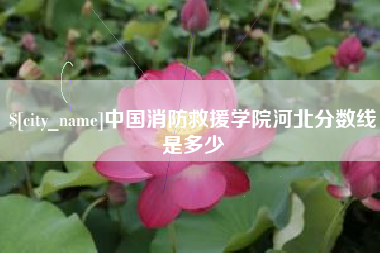 贵阳中国消防救援学院河北分数线是多少